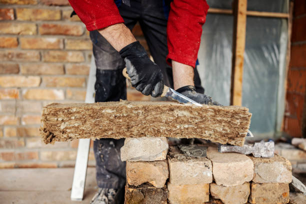 Best Home Insulation Services  in Ridgebury, CT